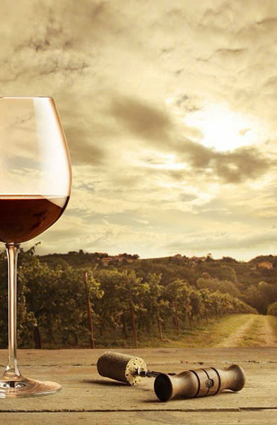 tìm hiểu về rượu vang pháp mayardau, nơi mua chính hãng