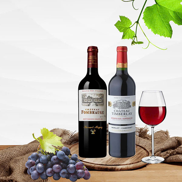 top giống nho pháp làm rượu vang bordeaux, burgundy ngon