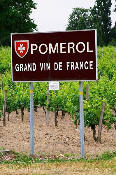 top giống nho pháp làm rượu vang bordeaux, burgundy ngon
