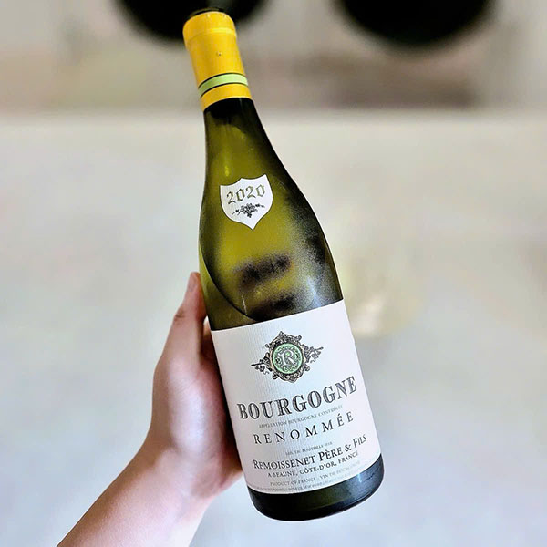 top giống nho pháp làm rượu vang ngon: bordeaux, burgundy