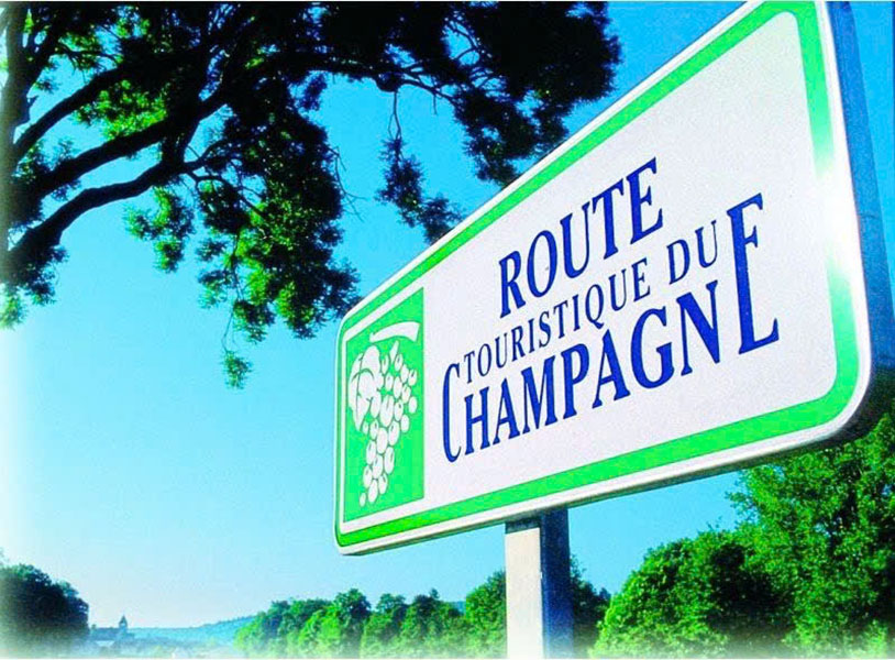 top giống nho pháp: rượu vang ngon, quà tặng tuyệt vời