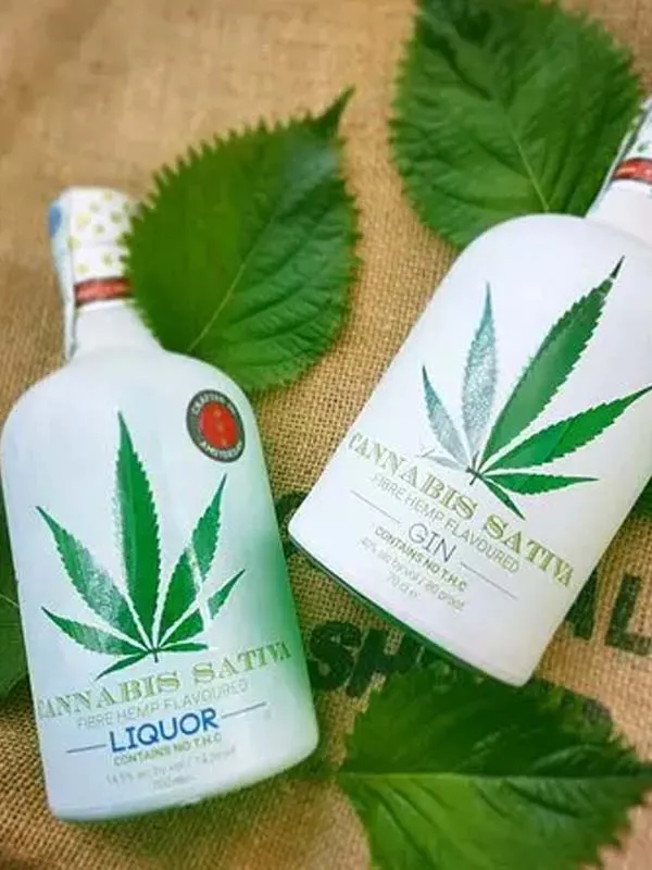 gin cannabis sativa gin cannabis sativa