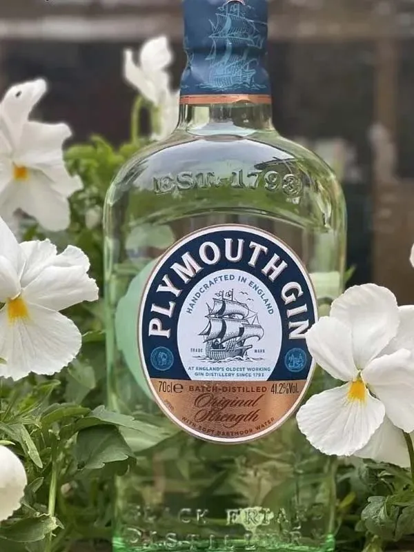 gin plymouth gin plymouth