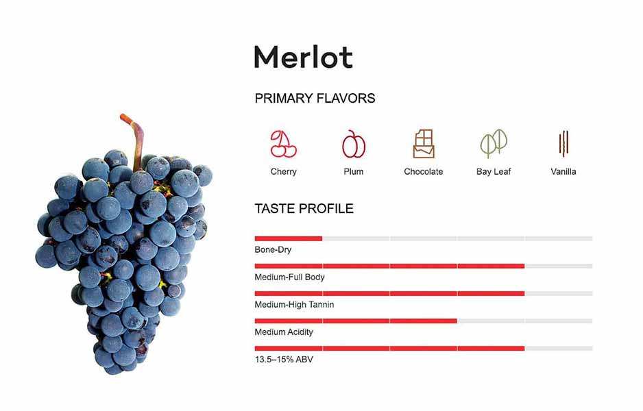 giống nho merlot: tất tần tật từ a đến z