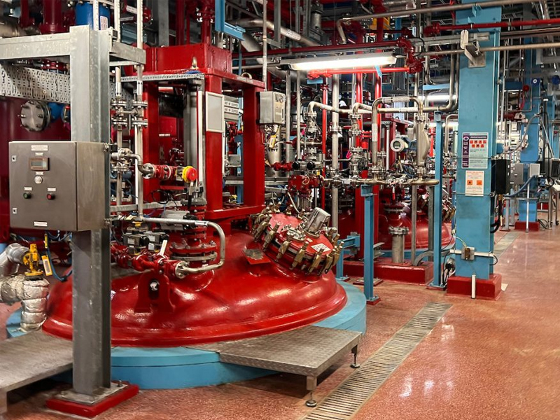 hibiki blossom 2024 hibiki blossom 2024