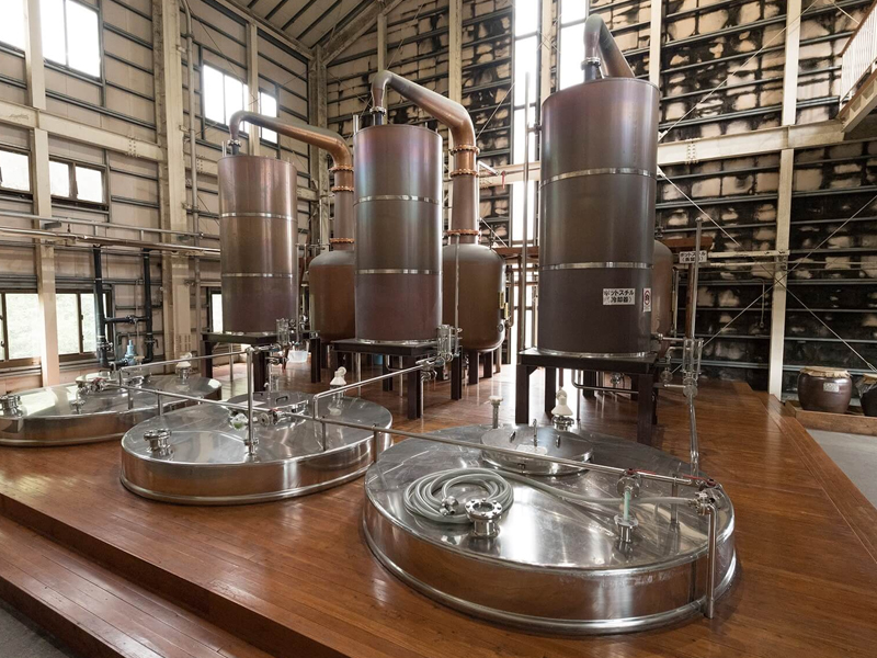 kujira 24 năm kujira 24 năm