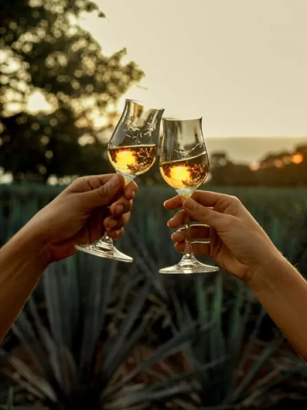 rượu tequila clase azul gold rượu tequila clase azul gold