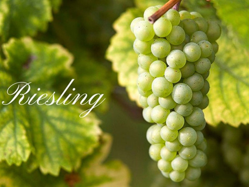 rượu vang trắng không cồn deinhard green label rượu vang trắng không cồn deinhard green label