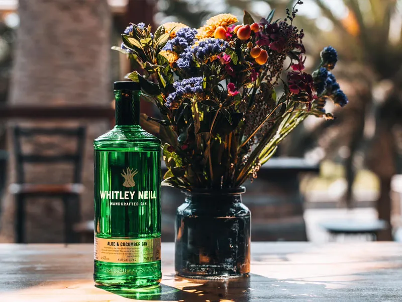 rượu whitley neill aloe cucumber gin