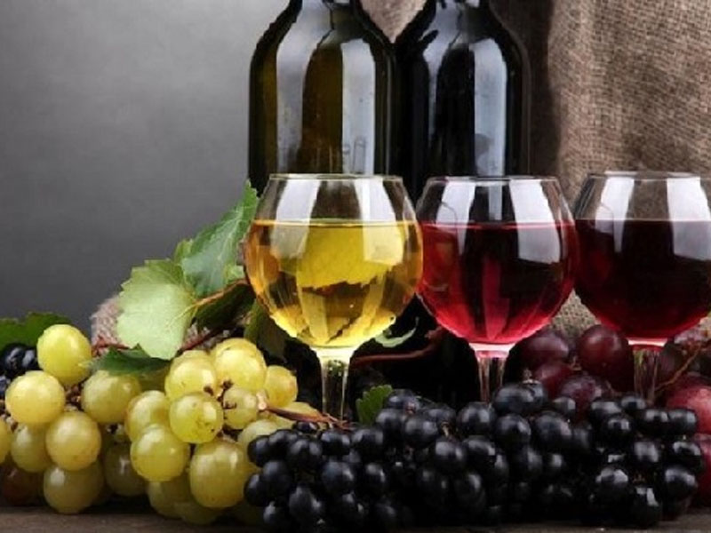 top rượu vang pháp giá rẻ dưới 200k ngon nhất 2025