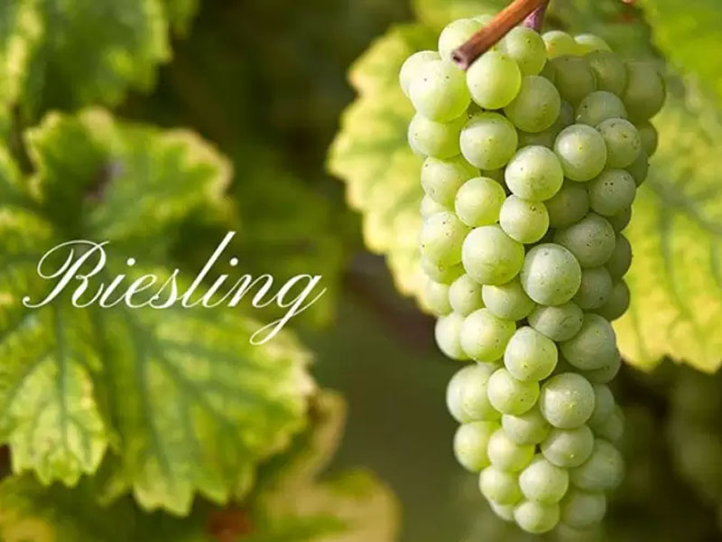 vang 30 mile riesling vang 30 mile riesling