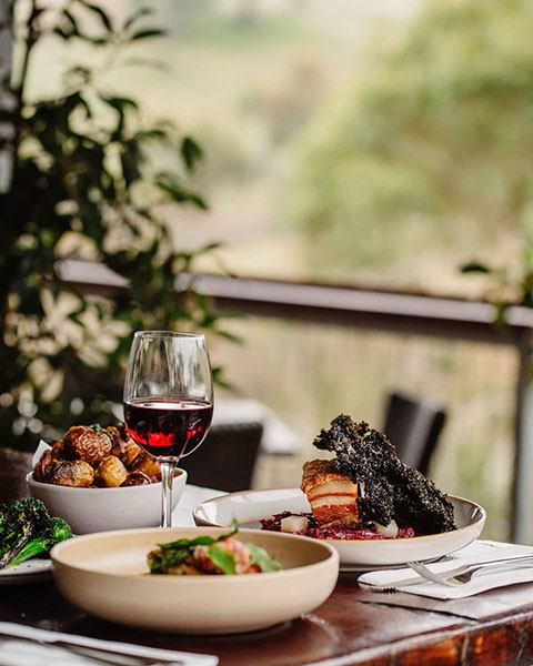 rượu vang pháp mayardau: chọn loại nào ngon?