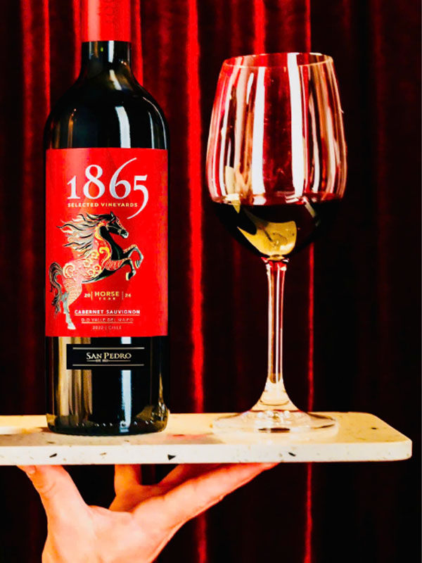 rượu vang đỏ chile 1865 rượu vang đỏ chile 1865