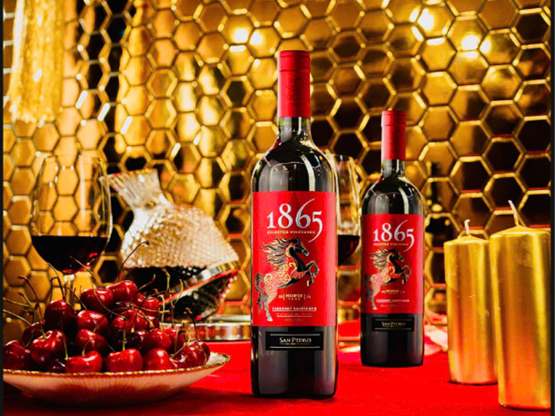 rượu vang đỏ chile 1865 rượu vang đỏ chile 1865