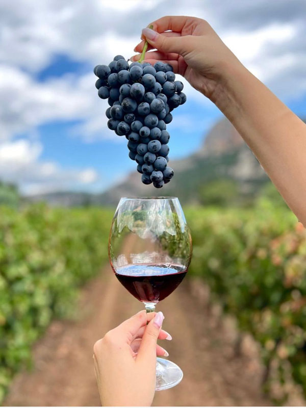 rượu vang les gabares de bordeaux