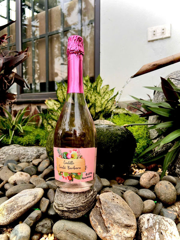rượu vang tây ban nha castillo santa barbara