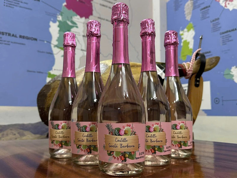 rượu vang tây ban nha castillo santa barbara