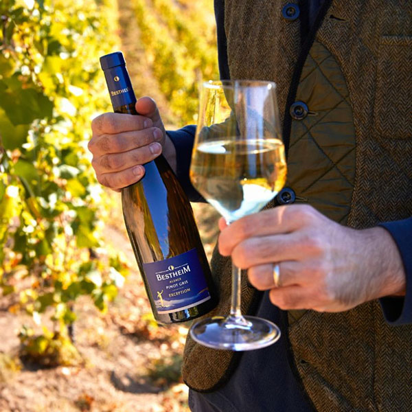 bestheim pinot gris uống ngon không? đánh giá chi tiết!