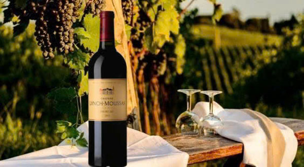 dac trung noi bat cua ruou vang lynch moussas 2010 5