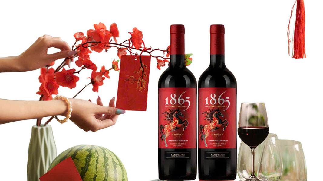 đánh giá vang chile 1865 hộp quà tết 2026 có nên mua