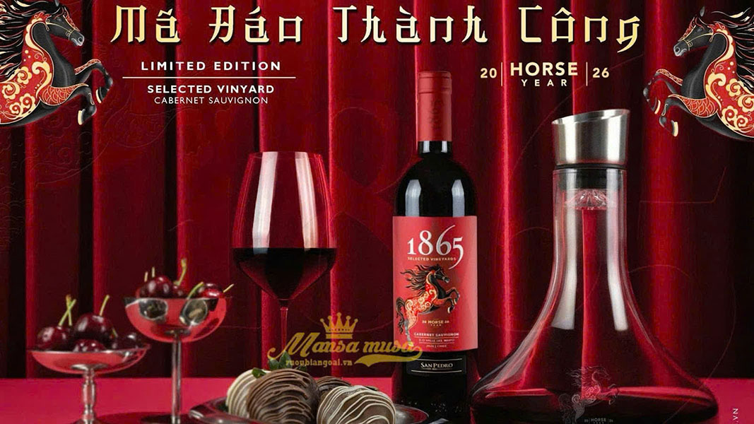 đánh giá vang chile 1865 hộp quà tết 2026 có nên mua