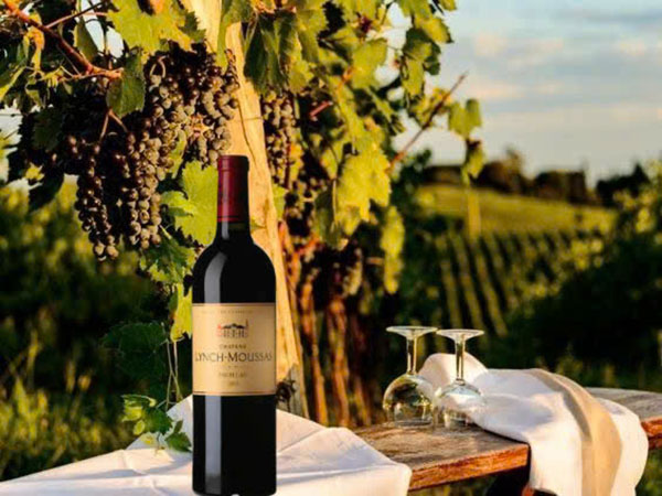 giá rượu château lynch moussas 2010: có đáng đầu tư không?