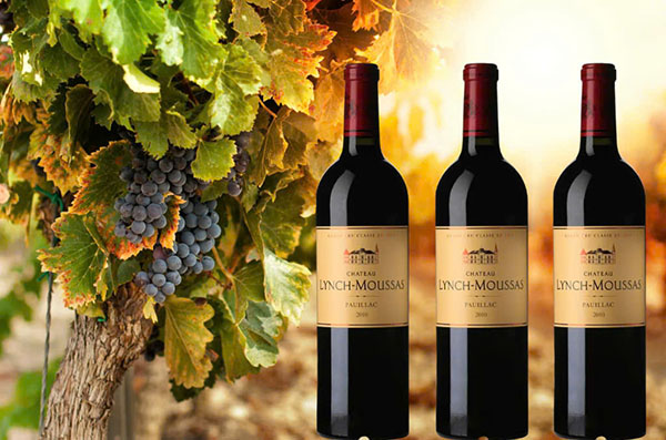 giá rượu château lynch moussas 2010: có đáng đầu tư không?