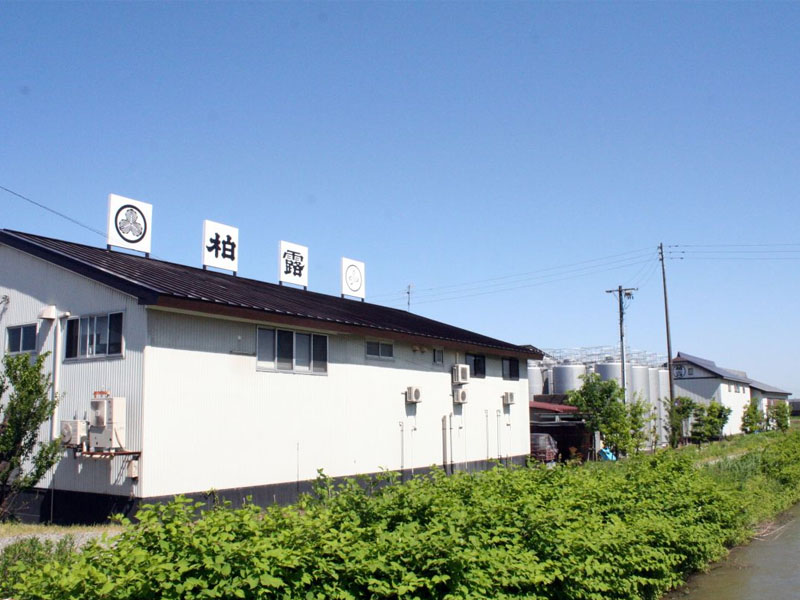 hikari sparkling sake