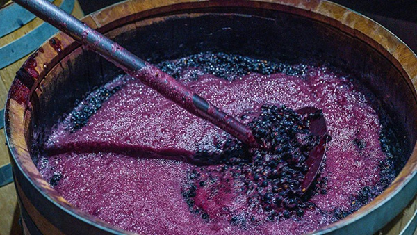 hướng dẫn thưởng thức beaujolais nouveau chuẩn vị 2025 hướng dẫn thưởng thức beaujolais nouveau chuẩn vị 2025