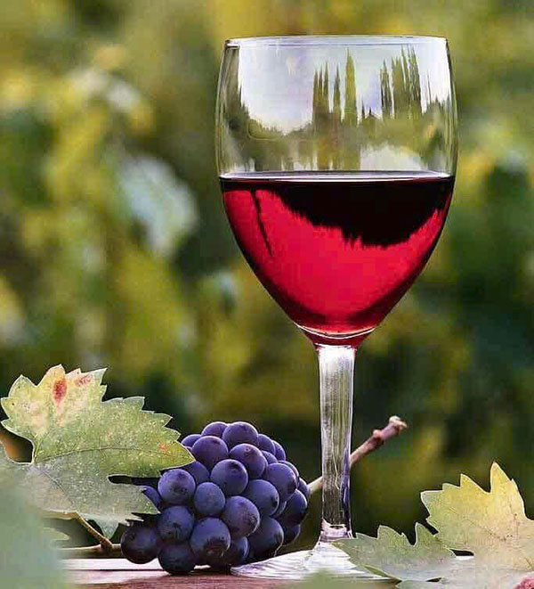 mua rượu vang château lynch moussas 2010 uy tín ở đâu?