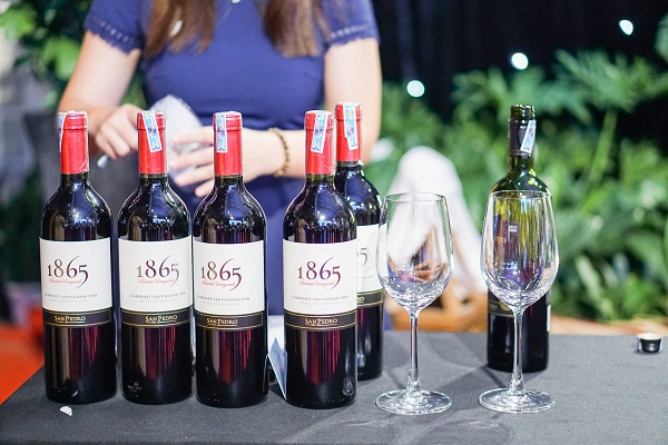 mua rượu vang đỏ chile 1865 chính hãng ở đâu tết 2026? mua rượu vang đỏ chile 1865 chính hãng ở đâu tết 2026?