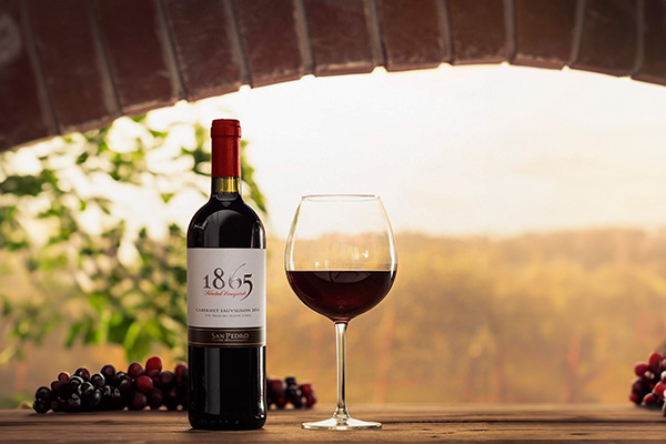 mua rượu vang đỏ chile 1865 chính hãng ở đâu tết 2026?