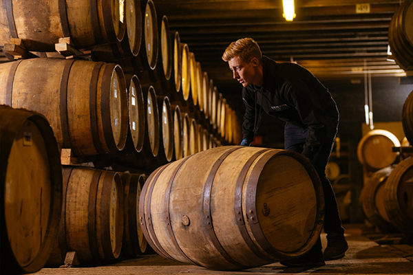 mua whisky giá rẻ ở đâu? top cửa hàng whisky chính hãng