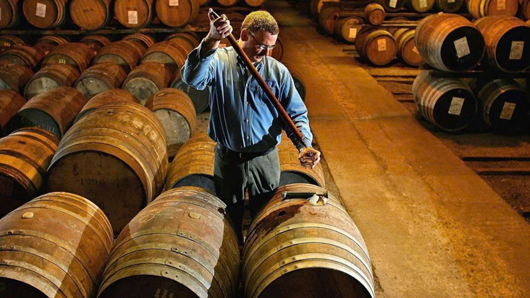 quy trình ủ sồi 36 tháng cho rượu vang