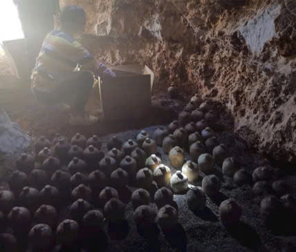 Rượu mao đài ủ trấu 30 năm mua ở đâu?