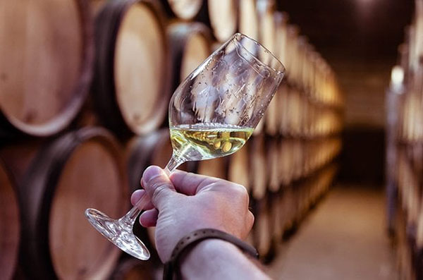 sự khác biệt giữa pinot gris và pinot grigio là gì?
