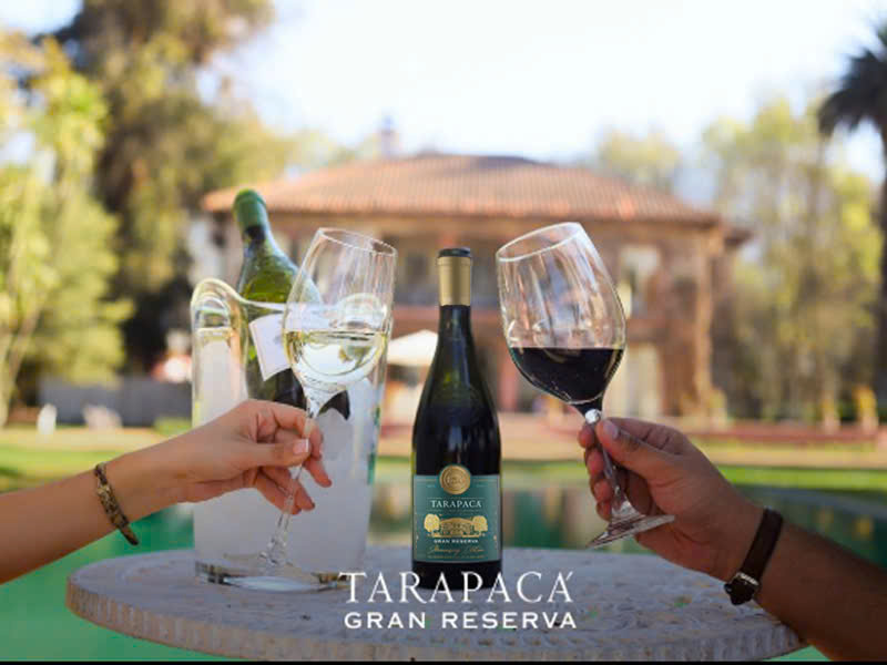 tại sao tarapaca 150th là kiệt tác của vang chile?