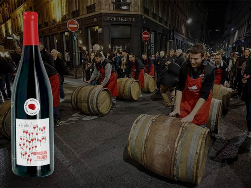 Vang tươi jean-michel dupre beaujolais nouveau 2025 vang tươi jean-michel dupre beaujolais nouveau 2025