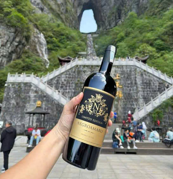 Đánh giá rượu vang n83 negroamaro từ vùng puglia Đánh giá rượu vang n83 negroamaro từ vùng puglia