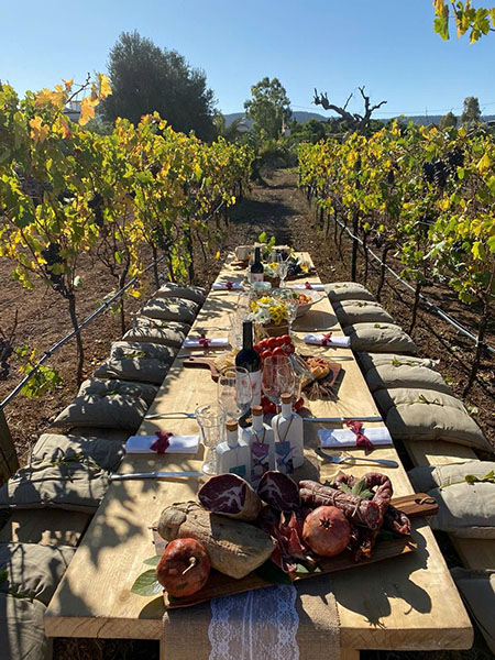 Đánh giá rượu vang n83 negroamaro từ vùng puglia Đánh giá rượu vang n83 negroamaro từ vùng puglia