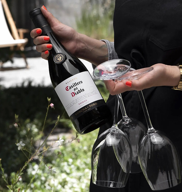 giá rượu casillero del diablo syrah 2026: mua ở đâu?