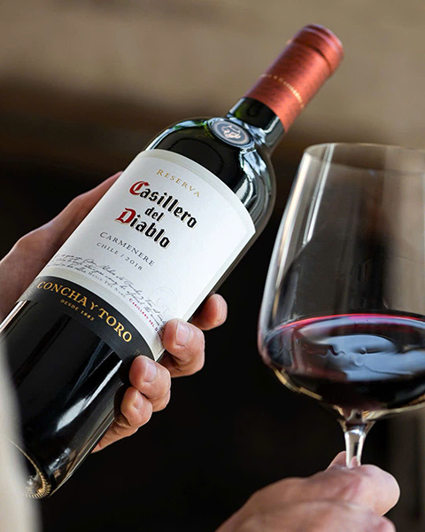 lịch sử casillero del diablo: huyền thoại vang chile lịch sử casillero del diablo: huyền thoại vang chile