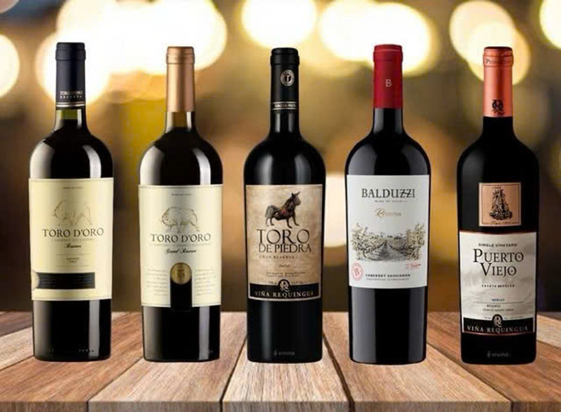 rượu vang giá rẻ đóng quà tết: lựa chọn thông minh