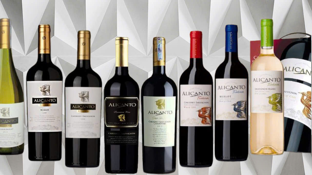 top 10 chai rượu vang giá rẻ đáng mua dịp tết 2026