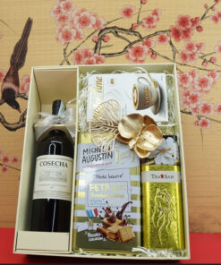 hộp quà tết 2026 rượu vang chile ms001