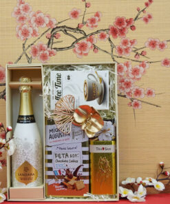 hộp quà tết 2026 rượu vang tây ban nha ms0026