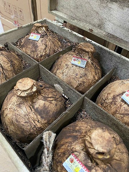 lịch sử rượu mao đài: từ hoàng cung đến thế giới