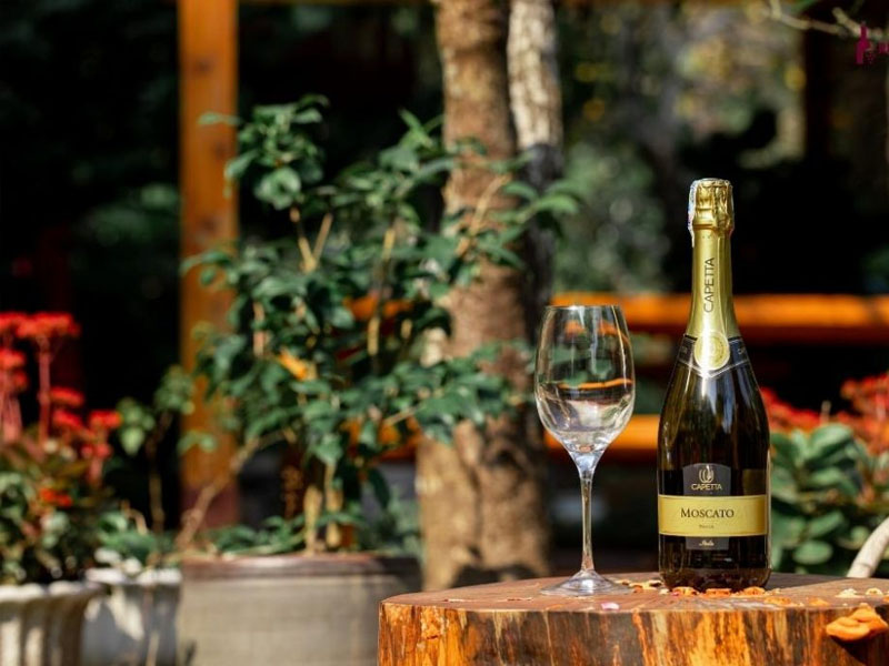 top 10 chai vang moscato cho bữa tiệc thêm ngọt ngào giá 200k top 10 chai vang moscato cho bữa tiệc thêm ngọt ngào giá 200k