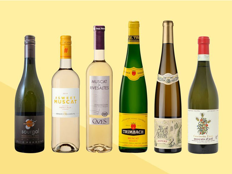 top 10 chai vang moscato dành uống tết 2026 đáng uống