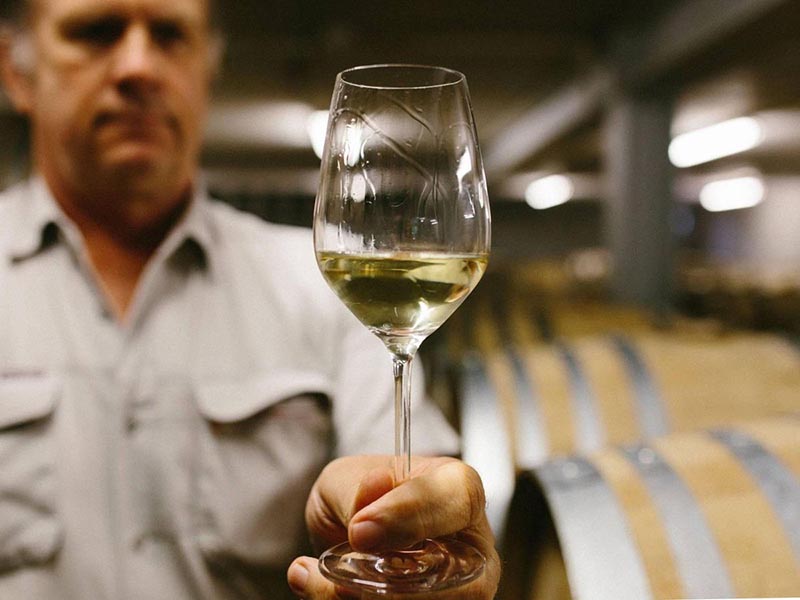 rượu vang bourgogne les chenaudières 2022 cao cấp - giá tốt